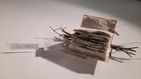 Mākslinieces Ērikas Mālderes oriģinālgrāmatu izstāde “Grāmatu stāsti”