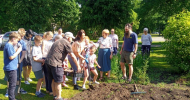 Kartupeļa “Čaks” stādīšana Rīgas Ēbelmuižas pamatskolas dārzā 2024.gada 30. maijā